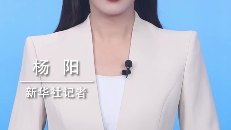 数据仓库选型：功能对比与关键考量